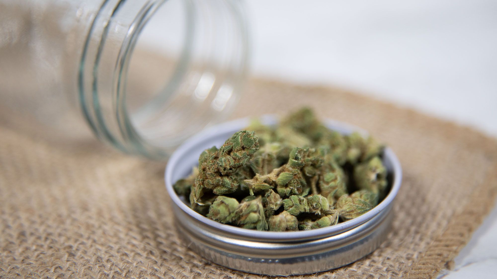 Sip Back and Relax: How to Make Cannabis-Infused Tea at Home