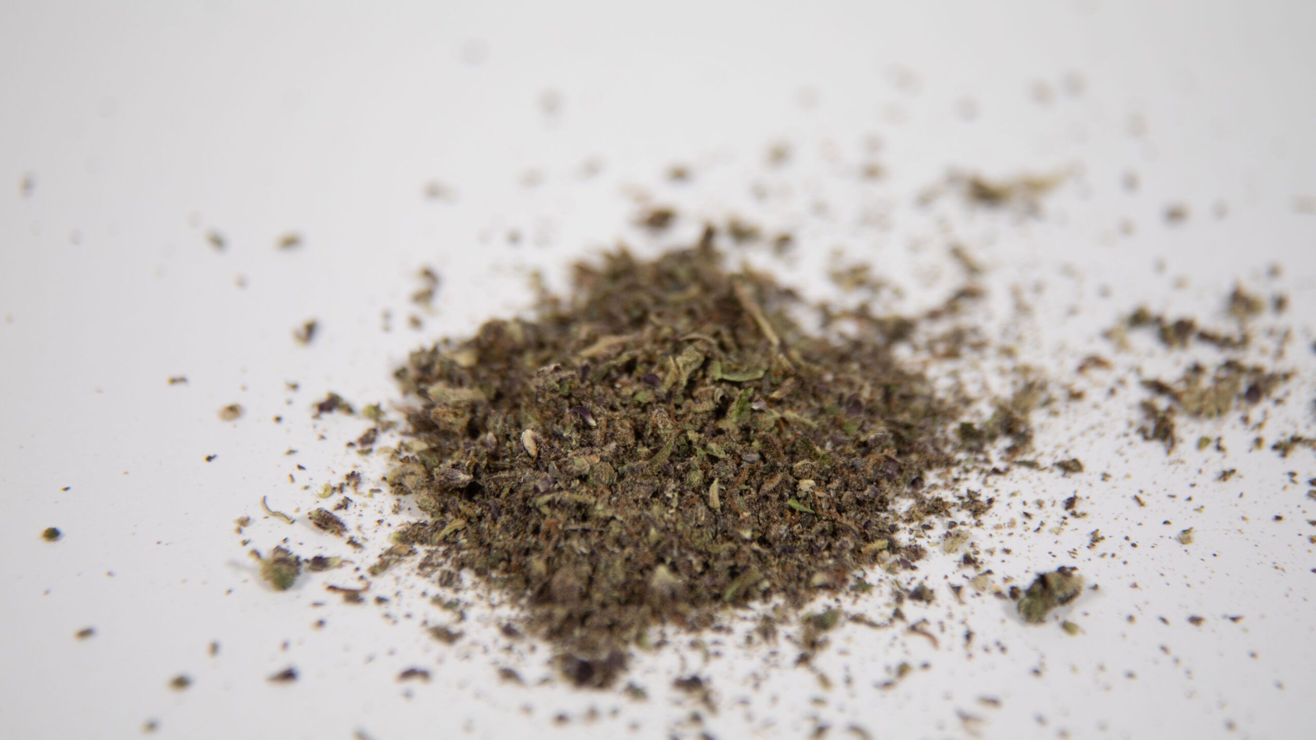 Cannabis Shake: A Smart Buy or a Step Down in Quality?