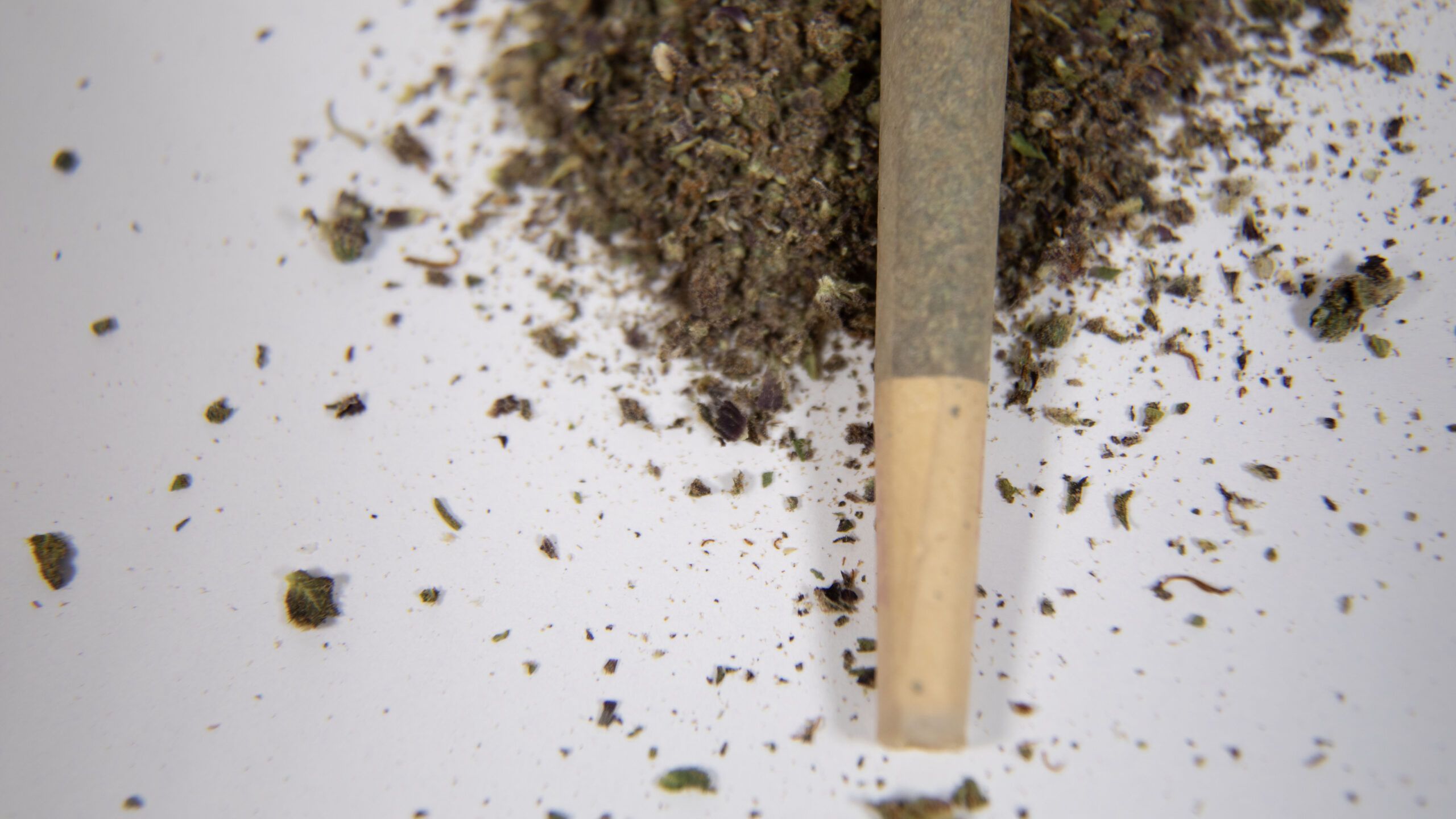 What Is the Difference Between Smoking and Vaping Cannabis?